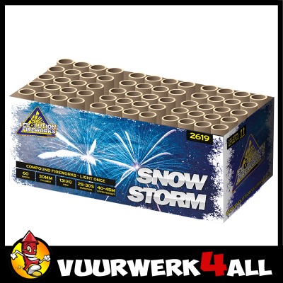 SNOWSTORM