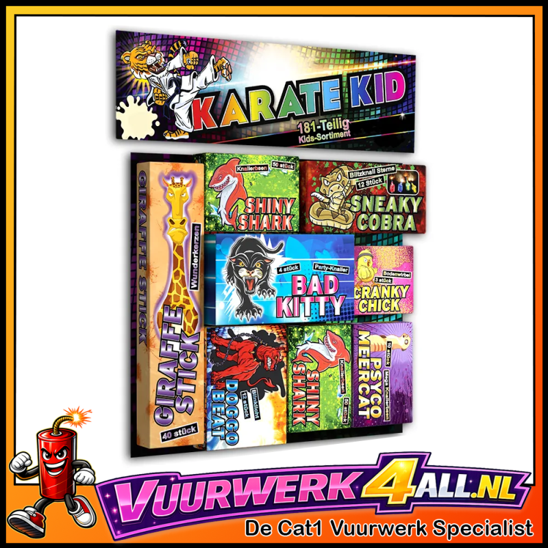 KARATE KID PAKKET